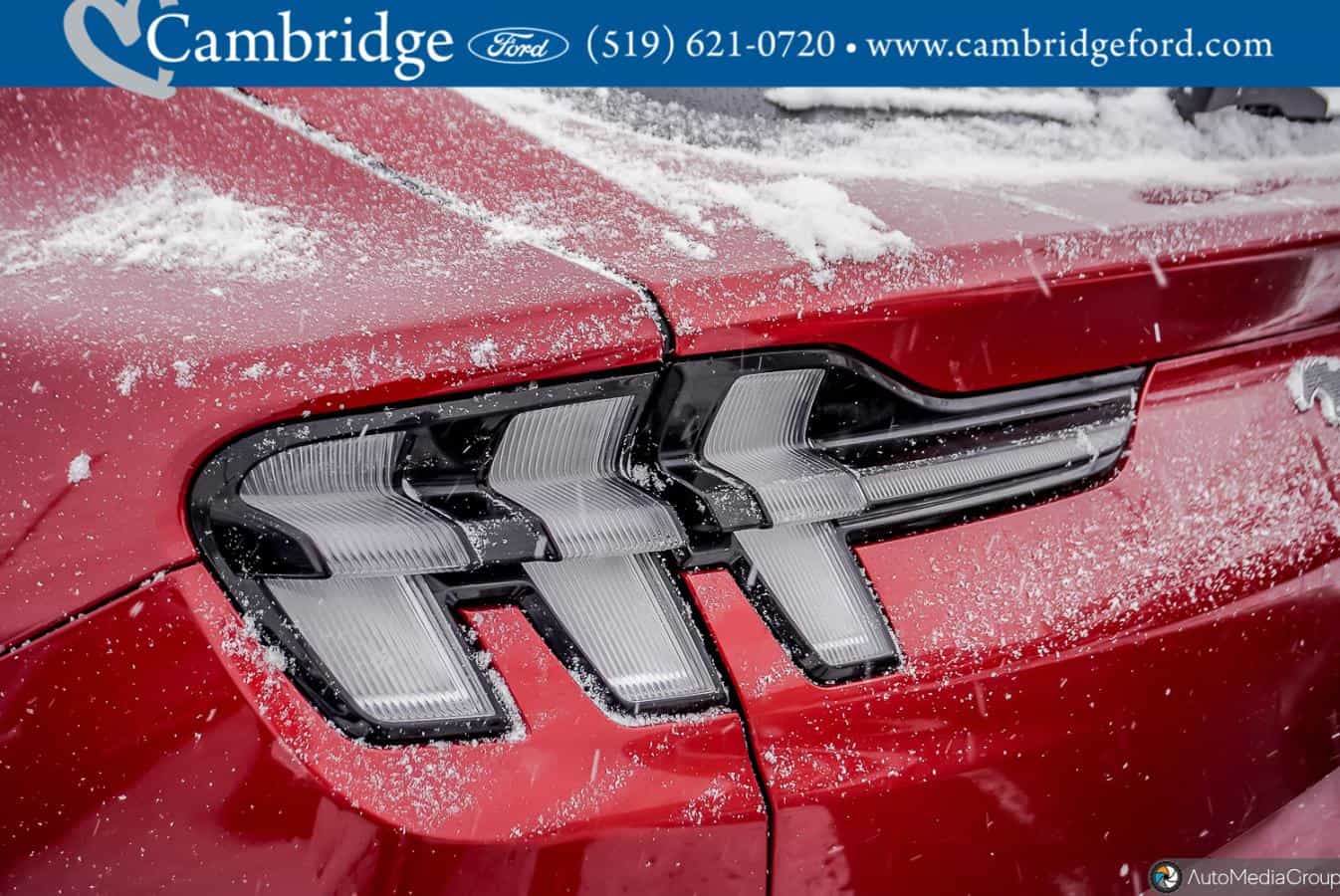 2021 Ford Mustang MACH-E Premium - Image 7