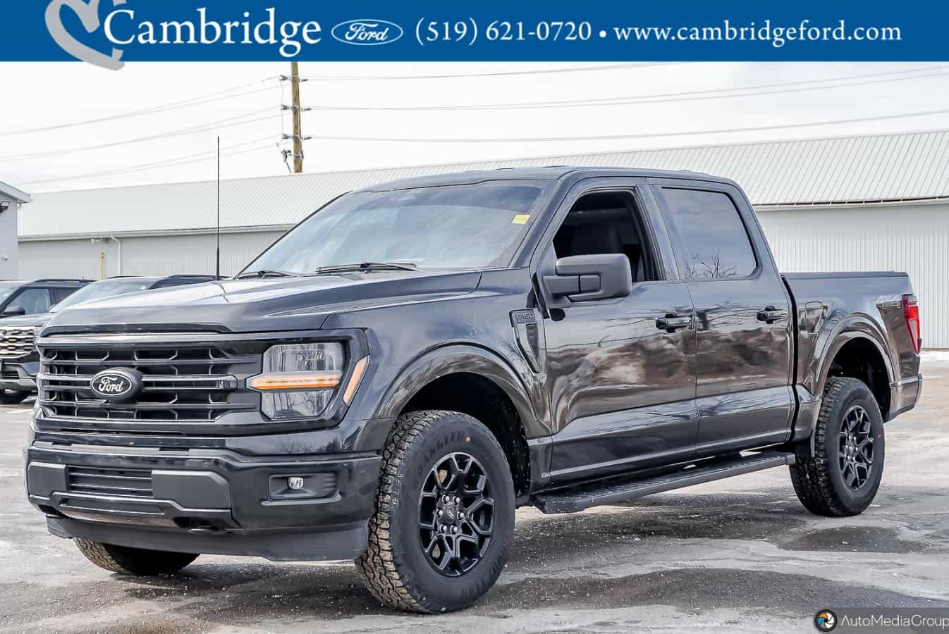 2025 Ford F-150 Xlt - Image 9