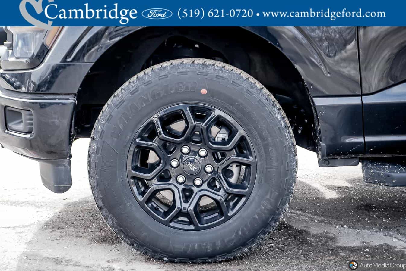 2025 Ford F-150 Xlt - Image 11