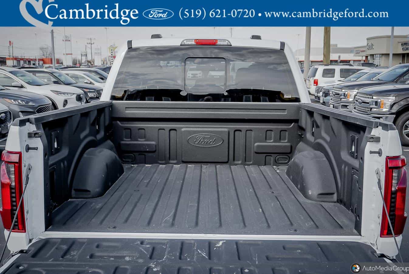 Image 12 Ford F-150 Xlt 2024