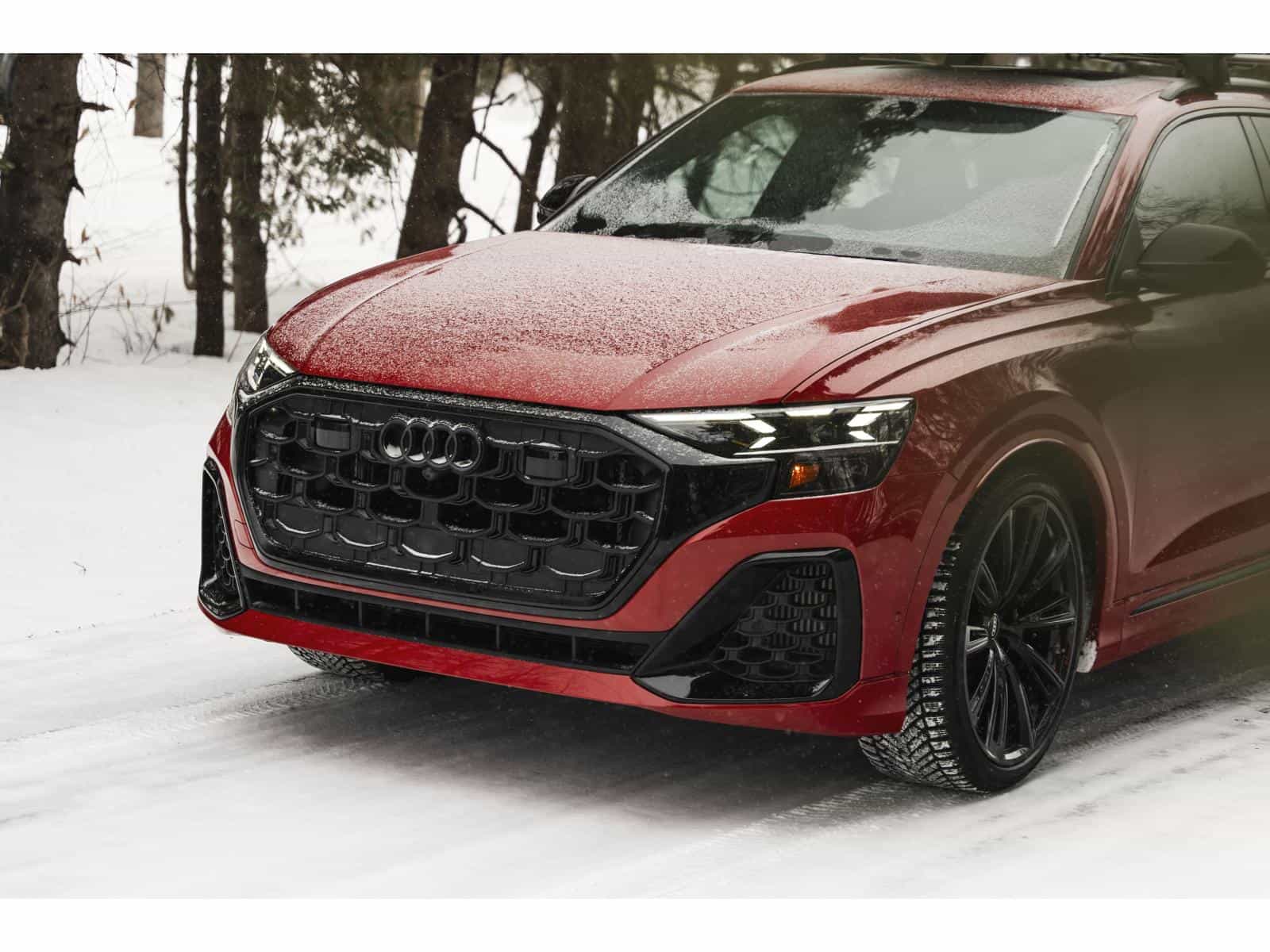 Image 6 Audi SQ8 Base 2026