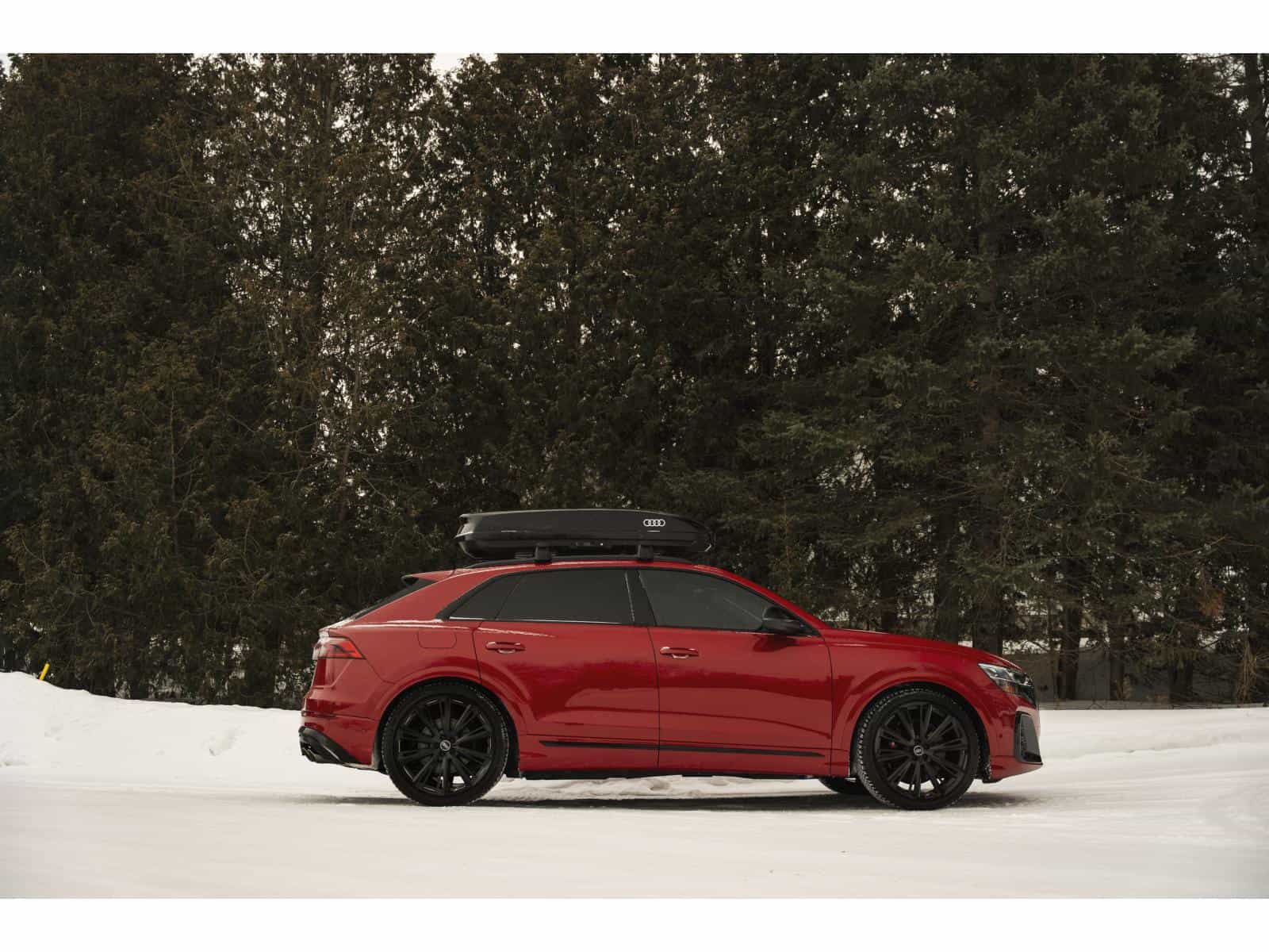 Image 14 Audi SQ8 Base 2026