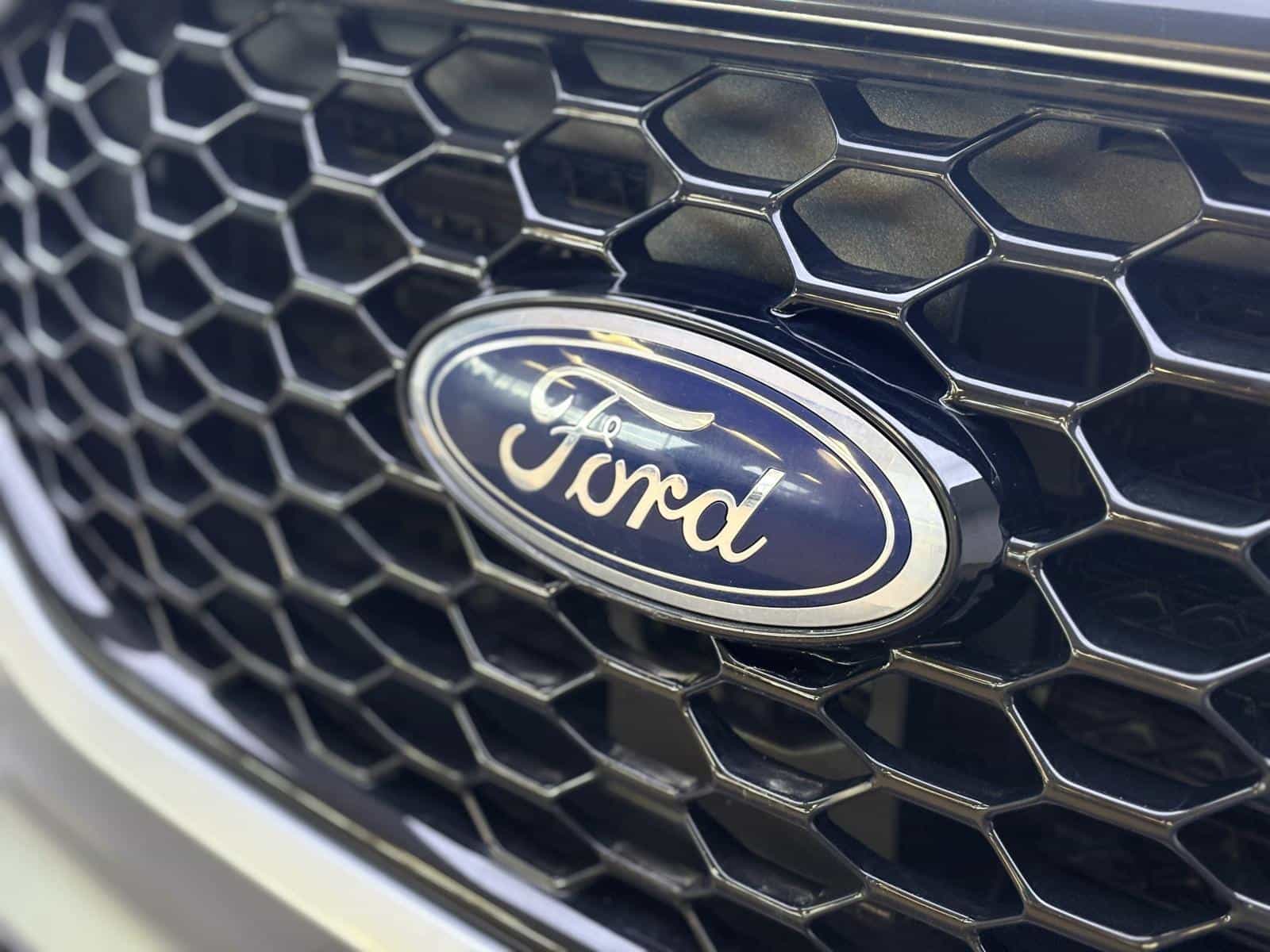 Image 3 Ford Edge SEL 2022