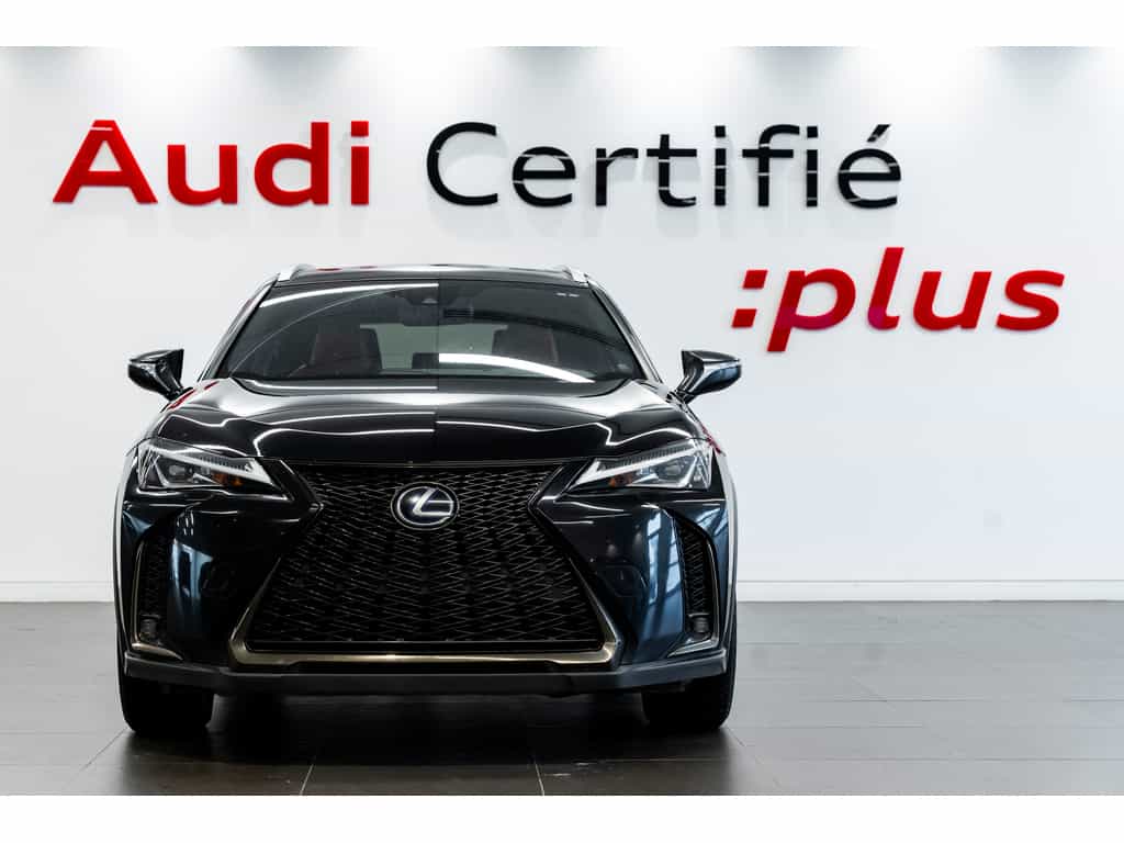 2021 Lexus UX UX 250h Luxury - Image 3