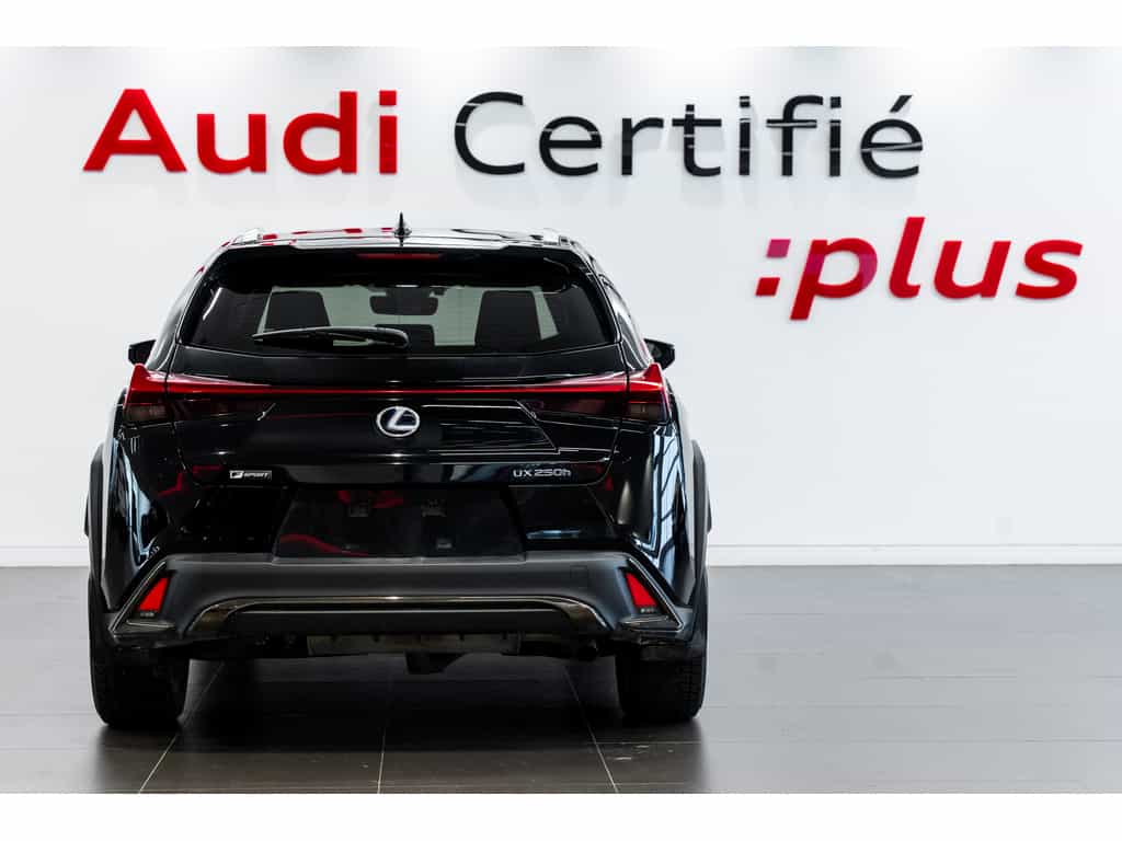 2021 Lexus UX UX 250h Luxury - Image 4