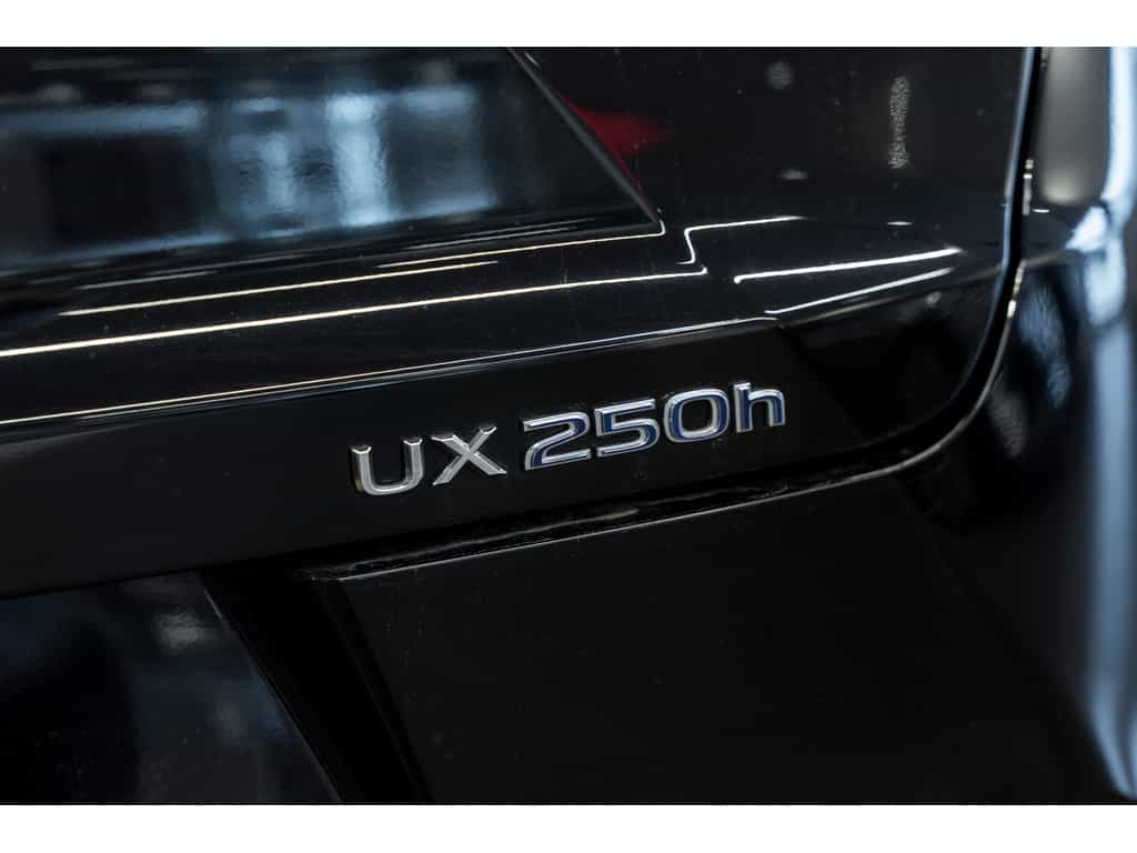 2021 Lexus UX UX 250h Luxury - Image 12