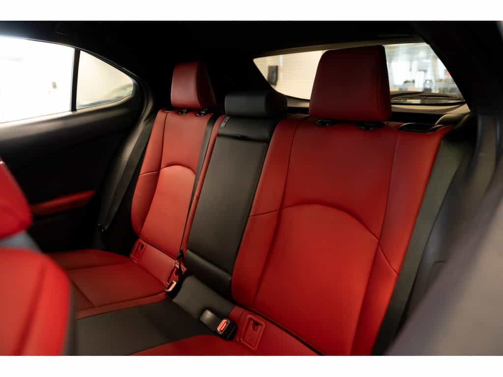 2021 Lexus UX UX 250h Luxury - Image 15