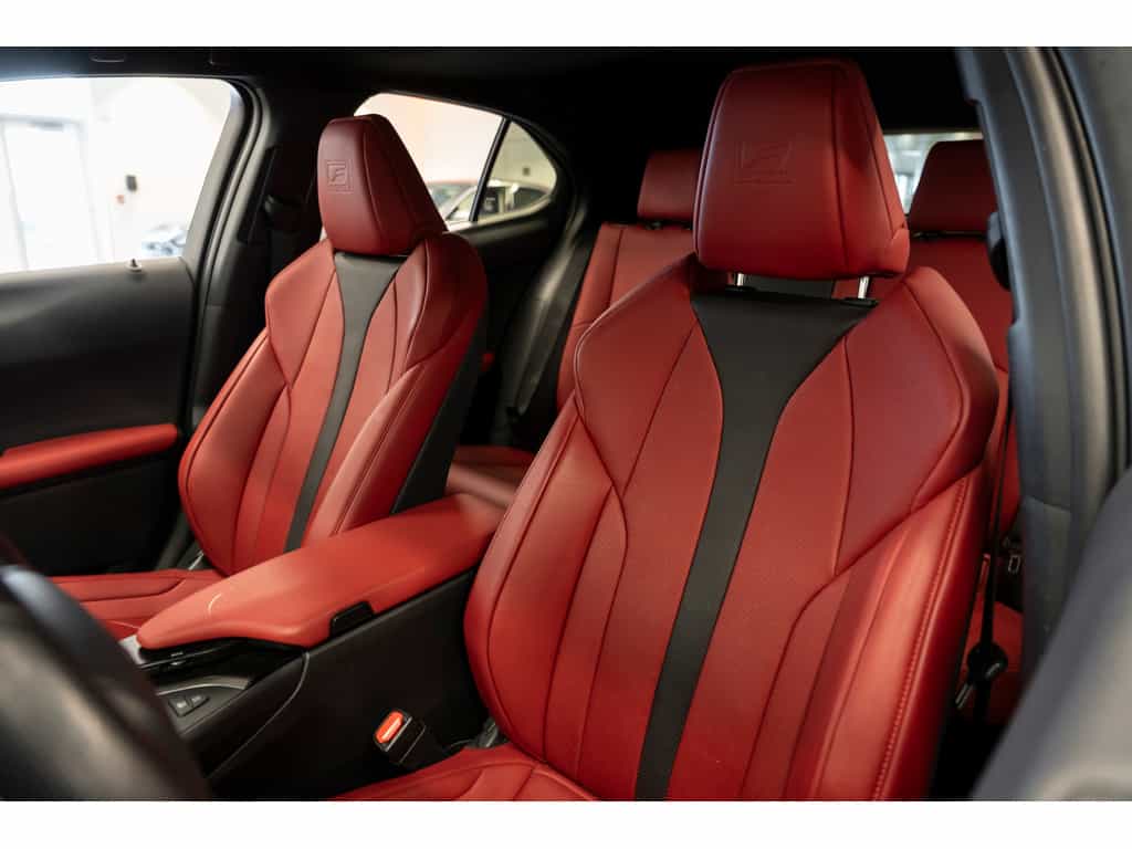 2021 Lexus UX UX 250h Luxury - Image 16