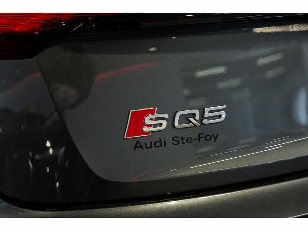 2021 Audi SQ5 Progressiv - Image 10