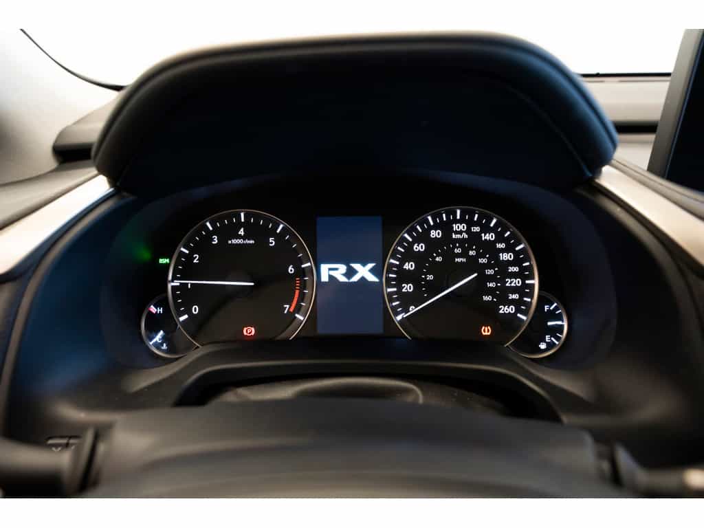 2020 Lexus RX RX RX 350 - Image 6