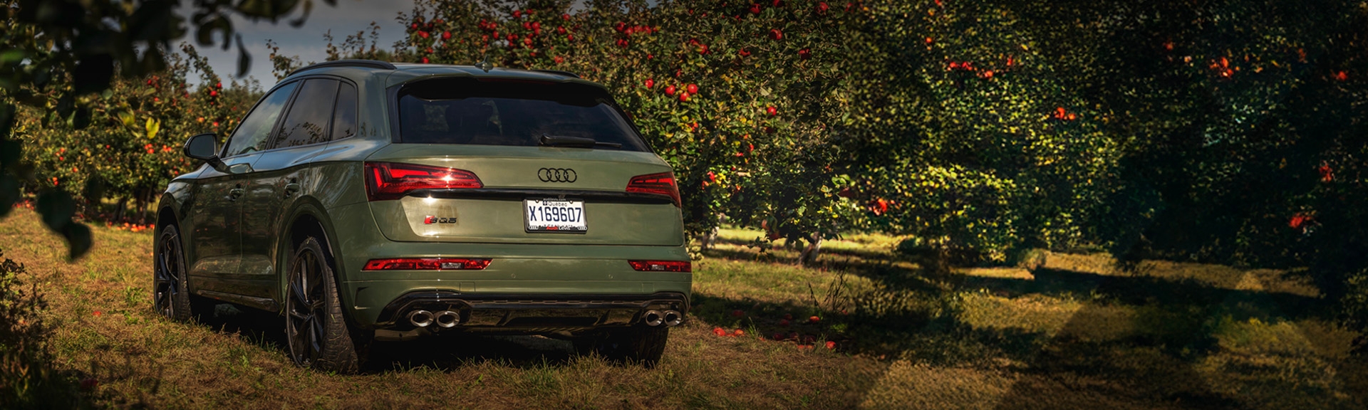 nexauto: Pre-owned green Audi SQ5 in an apple orchard row.