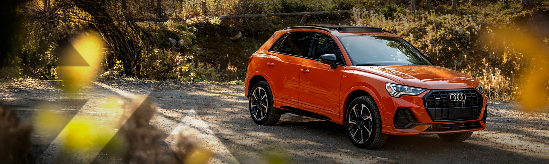 nexauto: Pre-owned orange Audi Q3 in the forest.