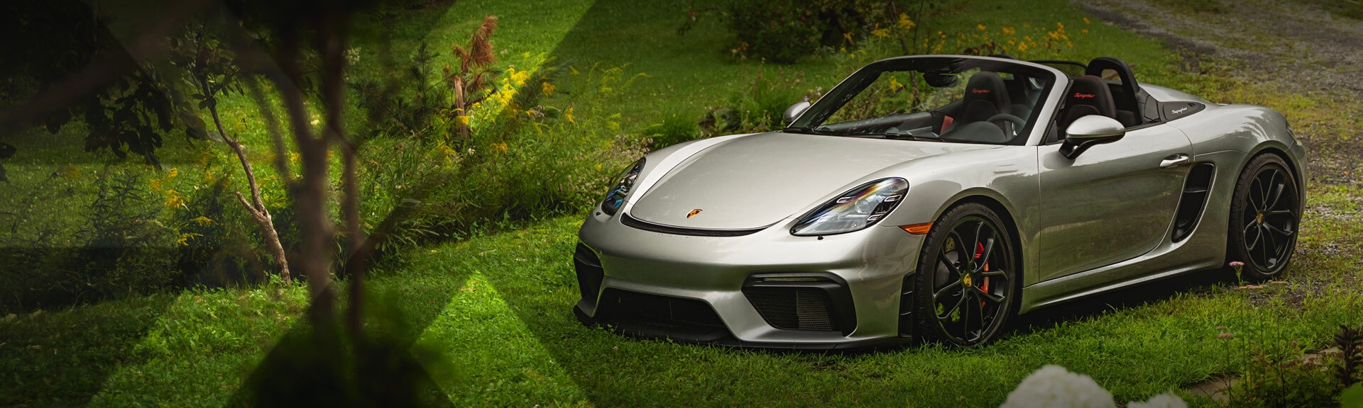 nexauto: Silver Porsche Spyder RS on a grassy field.